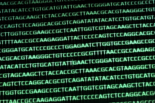 Computer Matrix DNA Alleles Nucleotides